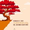 Freeman Skyz、Thirty - Sophumelela