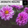Spiritual Sound Clubb - Soothing And Sitar (Original Mix)