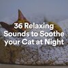 Calm Music for Cats - Cats Peace, Pt. 1