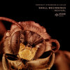 Perfect Stranger、Child、John Baptiste、Beneti - Small Beginnings (John Baptiste & Beneti Remix)