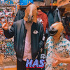 Horse Attack Sqwad - HAS