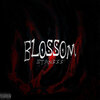 StAN333 - Blossom (Explicit)