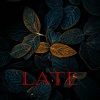 Captain - Late
