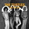 The Turtles - A Walk in the Sun