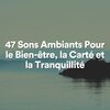 Ambiente、Le Sommeil、Musique pour dormir - Musique de sommeil tranquille, pt. 1