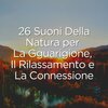Suoni Naturali - Suoni melodici della pioggia per la pace e la calma, pt. 1