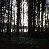 Reckoner - Rainy