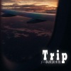 一条淡淡水鱼 - Trip (降速版)