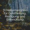 Waldgeräusche、Heilende Geräusche Der Natur Academie、Naturgeräusche Meditationsmusik - Die herrlichkeit der Natur, pt. 1