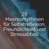 Meeresgeräusche、Meeres Rauschen、Entspannungsmusik Meer《Abalone in warmen gewässern》[MP3/LRC]