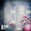 阿宇 - 若是