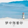 余飞《梦中想着你》[MP3/LRC]