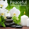 Relaxation Meditation and Spa - Tantra Relax Cycles