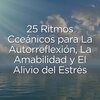 Olas del Mar、Efectos de Sonido、Las Olas Del Mar、Sonidos de fondo - Tempestad de Mareas