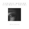 Misa Muzik - Curious Modern Cinematic Drums (Original Mix)