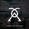 Daniel Iceberg《Carefree Classic Fusion Tech (Original Mix)》[MP3/LRC]