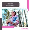 Shelvin NX - Vibes Of Sensations (Original Mix)
