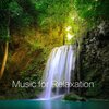 Relaxation Meditation and Spa、Entspannende Musik Spa、Yoga Music Spa - Mind Harmony