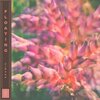 Shamik、Beatmology - Floating