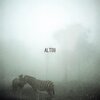 Alberto Tolo、DIT ZY - Foggy Safari