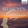 Staatskapelle Dresden、Herbert Blomstedt - III. Adagio molto e cantabile - Andante moderato - Tempo I - Andante moderato - Adagio - Lo stesso tempo