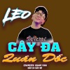 Quang Vinh、LEO - Cây Đa Quán Dốc