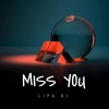 Lipa DJ - Miss You (Sped Up)(Remix)