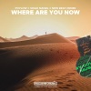 Poylow、Shiah Maisel、New Beat Order、Felix Safran De Laet、Sebastian Arman、Joacim BO Persson、Dag Daniel Osmund Lundberg、Michael Patrick Kelly - Where Are You Now