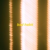omgkirby - bad habit