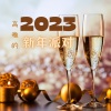 Lounge 新星、新年派对、新加坡 Lounge - 2023高雅的新年派对