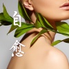 治愈系音乐大师、疗愈音乐 - 自愈