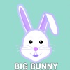 Big Bunny - Flowing (21 ROOM Remix)