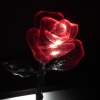Ryan Konline、Ichygo - Your Love