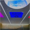 Circadian - Plastic