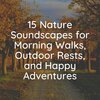 Thunderstorms、Rain Sounds、Nature Sounds - Starting Soother