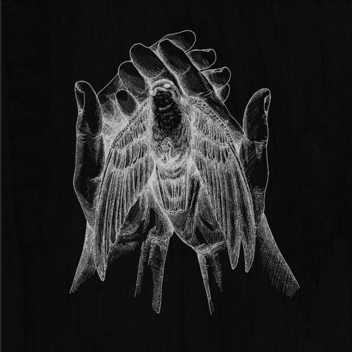 SukLave、Testerone - Km (Explicit)