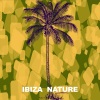 Ibiza Son《Zone (Original Mix)》[MP3/LRC]