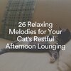 Cat Music、Cats Music Zone、Music For Cats Peace - Ultimate Zen Music for Your Cat, Pt. 1