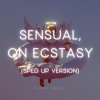 Dominik Saltevski - Sensual, on Ecstasy (Sped Up Version)