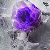 Keezy Rose - Never Before (Explicit)
