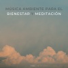 Meditación Trascendental、Auge Espiritual、Efectos de alta definición《Mente Natural》[MP3/LRC]