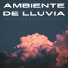 Relajante、Radio Naturaleza 1、La biblioteca de la lluvia - Corriente De Nubes