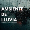 Resplandor de lluvia、Ondas Alfa Puras、Relajacion - Coaching De Vida