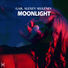 Alexey Seleznev、GAR - Moonlight (Original Mix)