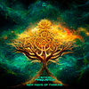 Critical Frequency (Live) - New Ways Of Thinking (Original Mix)