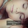 Ambient 11《Small Steps, Big Dreams (Original Mix)》[MP3/LRC]