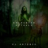 VJ Antonio《Enchanted Rituals (Original Mix)》[MP3/LRC]