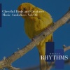 Luis Laurent - Strange Mutant Frog (Original Mix)