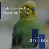 Adriana Bauer Nature Collective - Daisy Duck At Mid Day Lake (Original Mix)