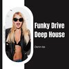 Denn-Iss - Funky Drive Deep House (Original Mix)